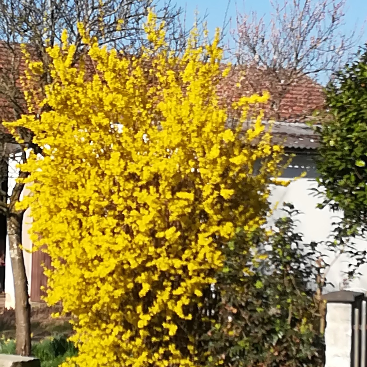 Bericht zur Jahreshauptversammlung