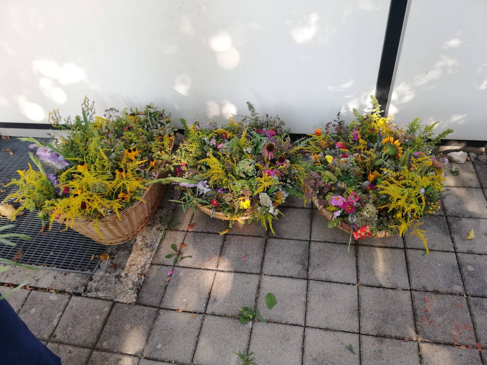 Das duftende Ergebnis