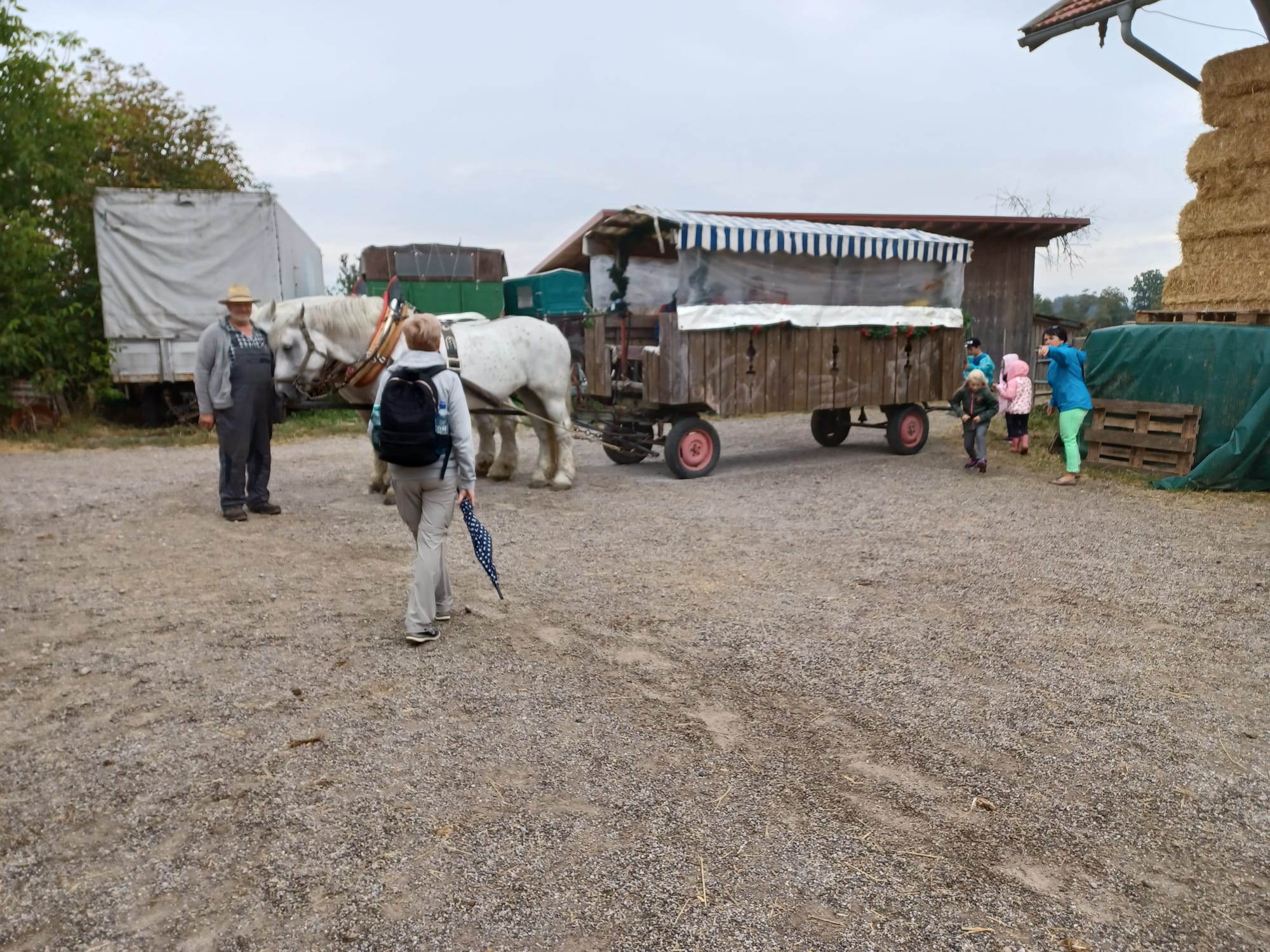 Robert Hiebl und seine Pferde