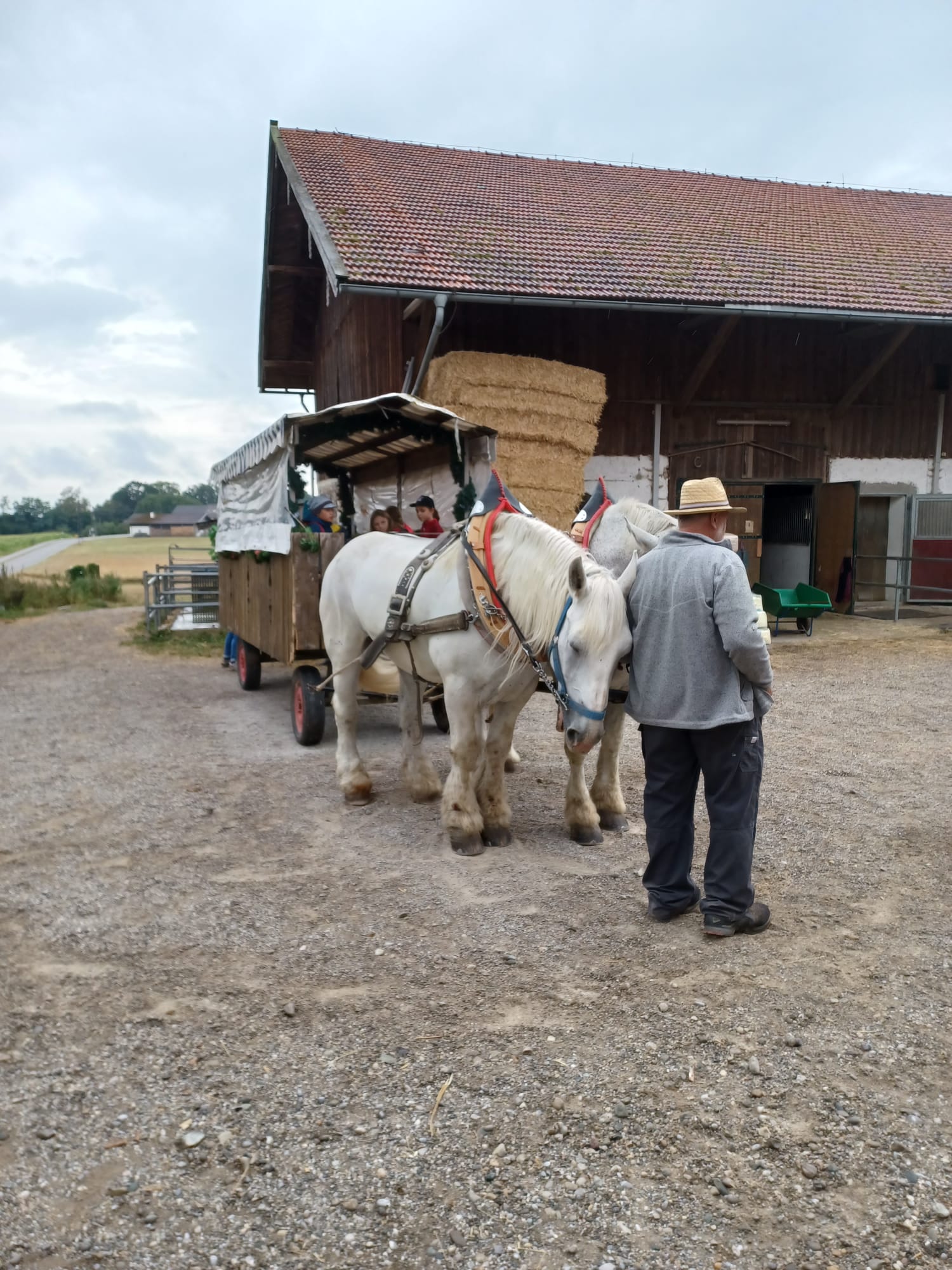 Robert Hiebl und seine Pferde