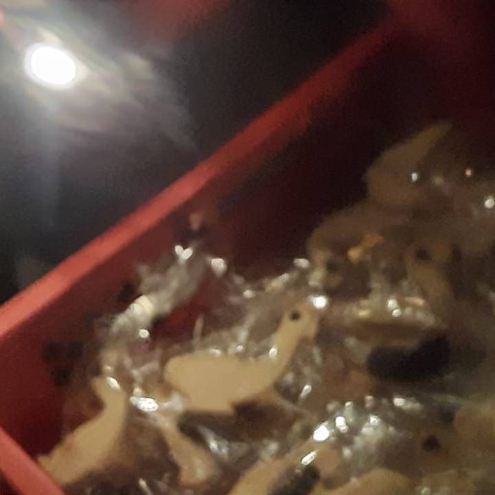 Die Martinsgänse für die Kinder