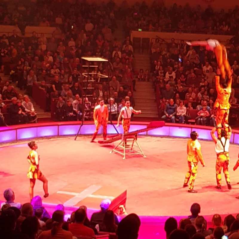 Zirkusfans fahren nach München