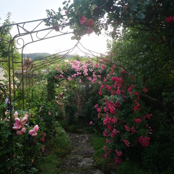 Gartenführung „Rosenromantik und Wasserzauber“ bei Rita Dirnberger