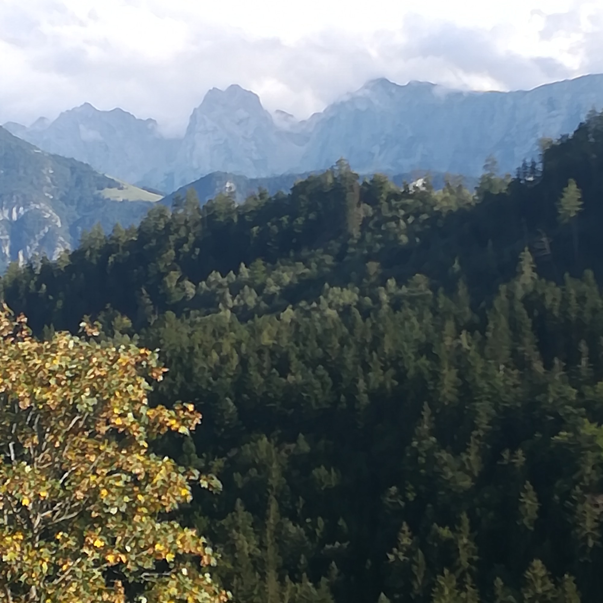ein herrlicher Ausblick von der Alm