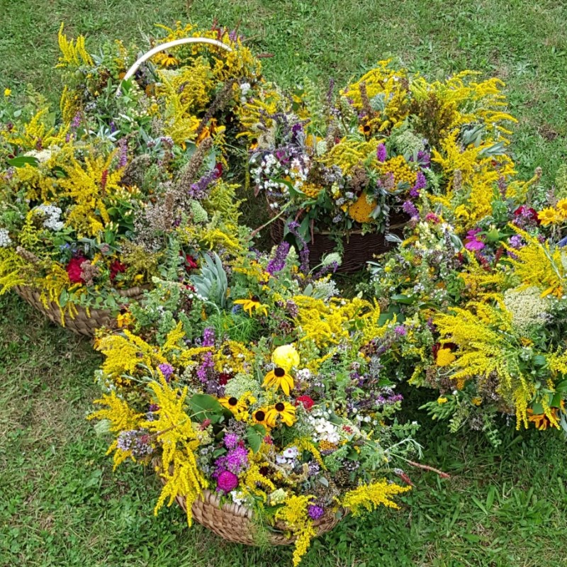 Maria Himmelfahrt: Kräuterbuschen binden