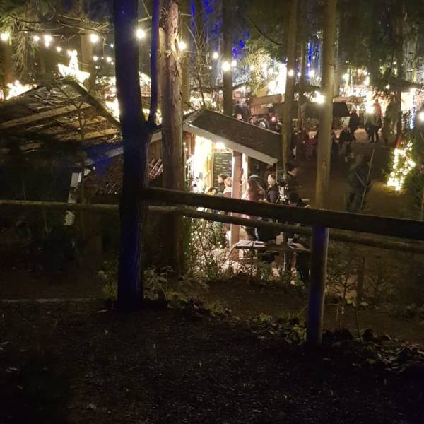 Der geheimnisvolle Zauber der Waldweihnacht